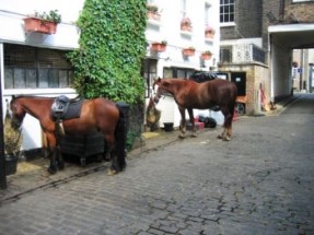 4435fe5a-591a-4e22-a330-ee13a668e87d